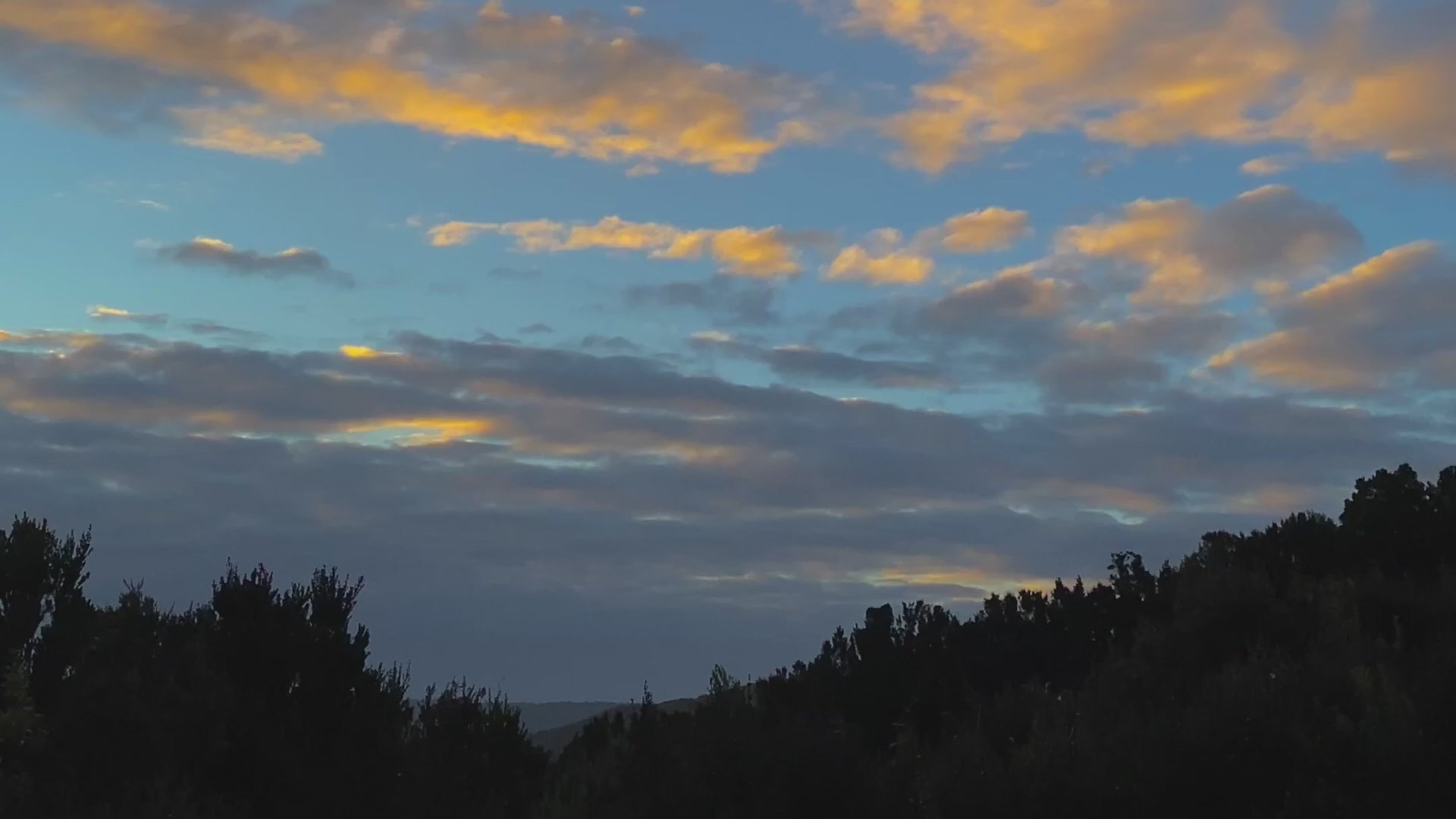 Cargar video: 